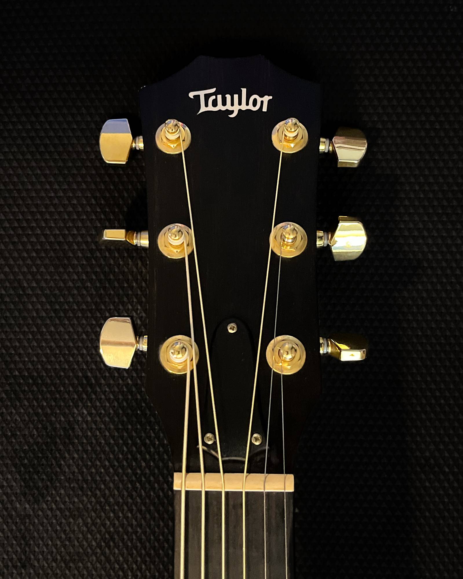 Taylor Acoustic Headstock